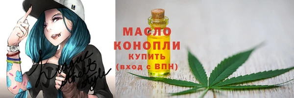 молекула духа Каменск-Шахтинский