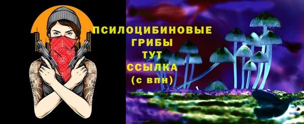 молекула духа Каменск-Шахтинский